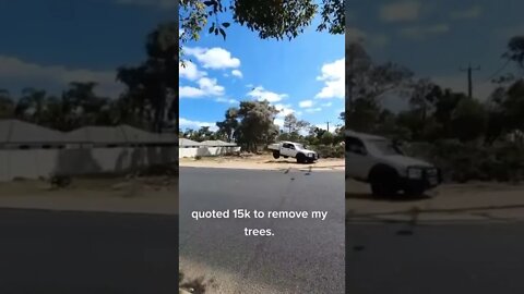 Uprooted 🪵🛻 #shorts #dashcam #treeremoval #funny