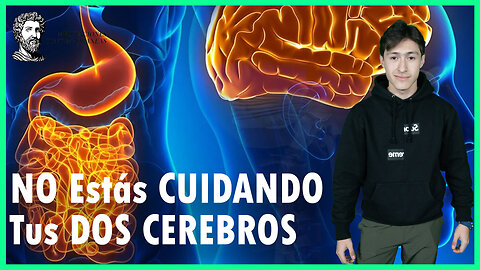 NO Estás CUIDANDO Tus DOS CEREBROS | Meditaciones Contemporáneas