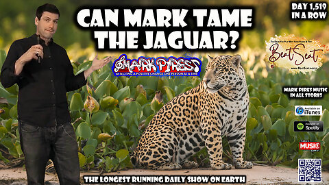 Can Mark Tame A Jaguar?