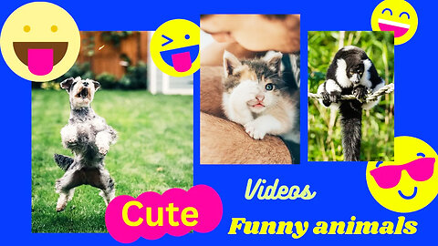 Funny Animals Ever Funny Cats - Funny Dogs Smile