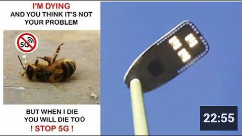 ECOCIDE! - 5G Electromagnetic Radiation Is Destroying Our Wildlife