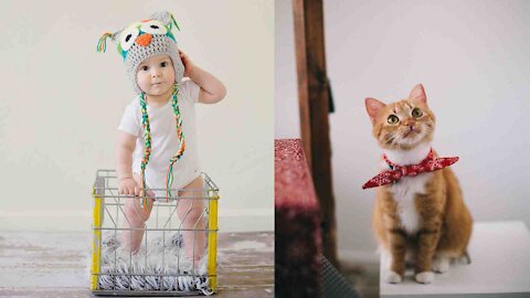 Baby playing with cats.