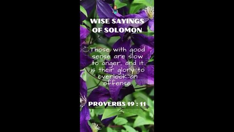 Proverbs 19:11 | NRSV Bible - Wise Sayings of Solomon