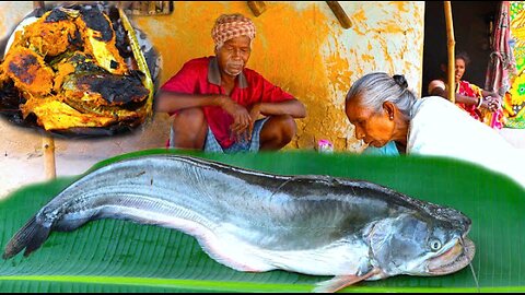 Boal fish weighing 2.5 kg was caught with bare hands