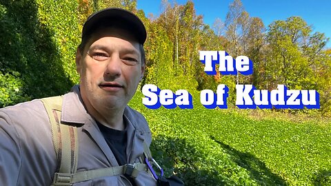 The Sea of Kudzu | Just a Fun Video