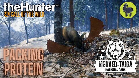 Packing Protein, Medved Taiga | theHunter: Call of the Wild (PS5 4K)