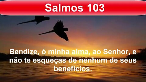 Sinta o perdão e a graça de Deus | Receba a graça de Deus agora para seguir em frente! | Salmo 103