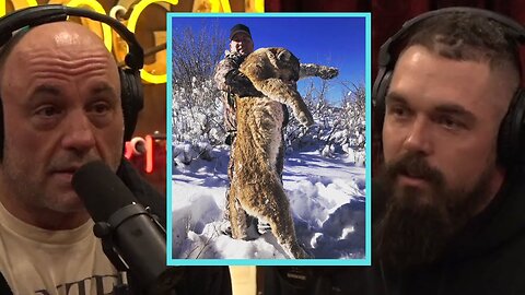 Derek Wolfe's Crazy LION Hunting Story! | Joe Rogan Experience