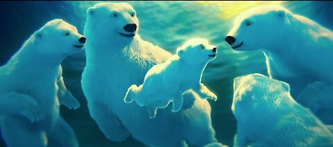 Videos for Kids Early Education - A walk in the Arctic