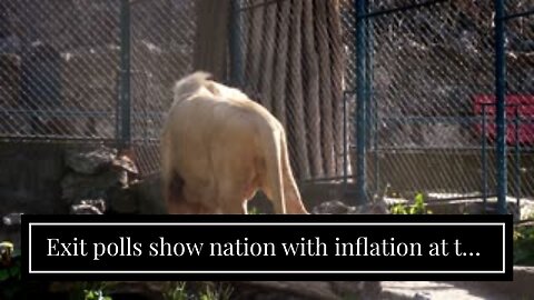 Exit polls show nation with inflation at top of mind, deeply gloomy voter outlook on economy