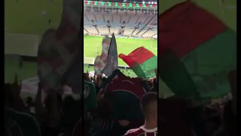 FLUMINENSE, TE AMAR É MINHA RAIZ! TRICOLORES FESTEJAM OS GOLS SOBRE O AVAÍ