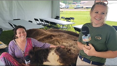 Buffalo Hide Tanning with Mary Elizabeth! Old School Survival Bootcamp