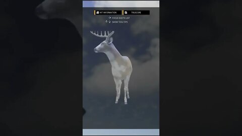 Super Rare Piebald Diamond Whitetail, Throwback Thursday, theHunter Call of the Wild #shorts