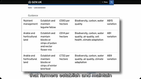 Who Is To Blame For UK Food Shortages? - UK Column News - 27th February 2023