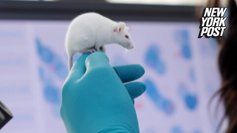 Scientists 'switch off' autism symptoms using $3 epilepsy drug in mice