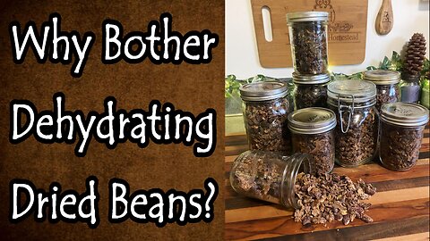 Why Cook and Dehydrate Dry Beans?