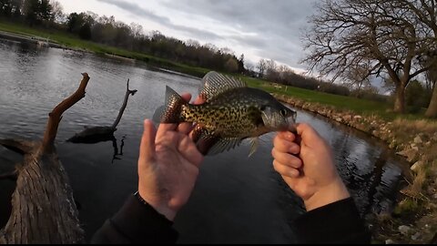 Bankside Bounty: Crappie Catching Mastery!