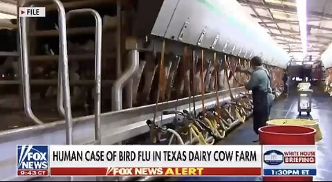 One person in Texas has been diagnosed with bird flu after having contact with infected dairy cows