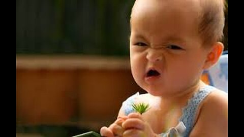 Top Funniest Baby Of Week Videos - Hilarious Baby