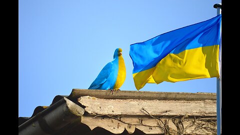 The battle for Bakhmut: Ukrainian city's last residents survive under artillery fire