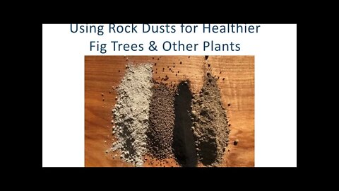 Using Rock Dusts for Healthier Fig Trees & Other Plants - 2019-09-13