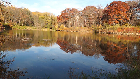 Seasons Change: From Beauty to Bareness to new Birth