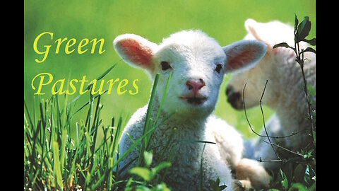 Shepherds and Sheep — In Green Pastures