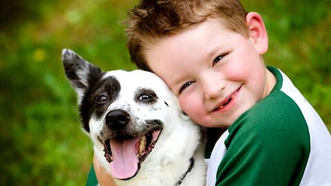 Cute Baby Hugging Dogs