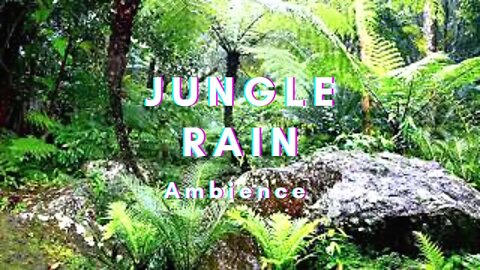 A jungle rain ambience set in Thailand: ASMR-White Noise