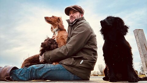 David Beckham With 3 Perfectly Behaved Girls and 1 Mischievous Boy | His Dogs