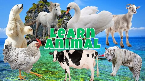 Learn Farm Animals, Bear,Cow,Cat,Dog,Horse,Swan,Goat,Lion, Cute Funny Animals - 🐓Singing cock🐓