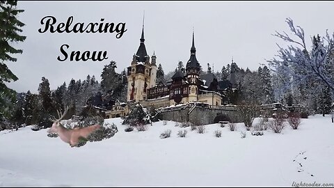 Relaxing Snow At Castle