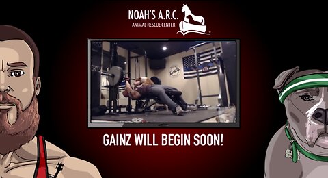 Gym Session w/the Bearded Bros & Hank-a-Tank [Week 16] - Chest // Animal Rescue Stream :)