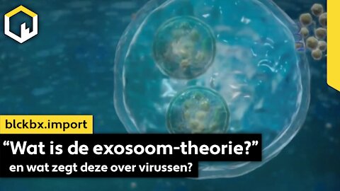 Wat is de 'exosoomtheorie'?