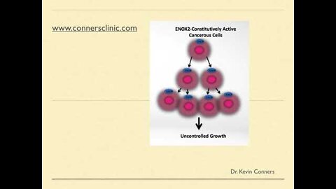 ENOX2 inhibition - A Novel Approach to Cancer | Dr. Kevin Conners - Conners Clinic