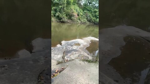 Happy Sunday! Fishing at the creek! #fishing #outdoors #nature