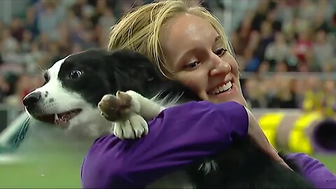 Check Out The Best Of The 2019 WKC Masters Agility Championship