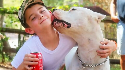 Meet Our Newest Pack Member - 3 Month Old Dogo Argentino - Growing Up With Darla [GUWD#1]