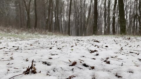 One Hour of Classical Music & Beautiful Winter Scenery