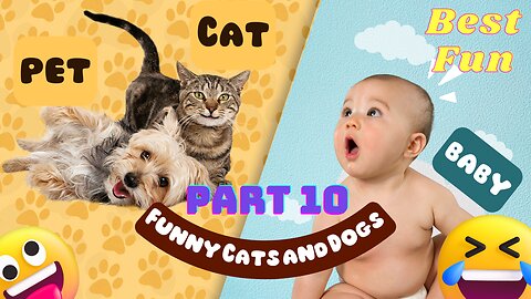 Funniest Animals 😂 Funny Cats and Dogs 2023 😺🐶 Part 10