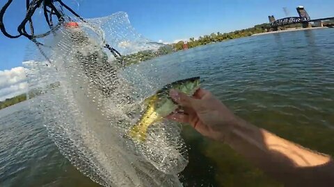 Fishing the Riverpark in Chattanooga