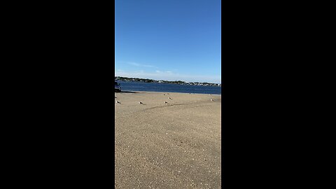 "Hobo Beach" Mayport