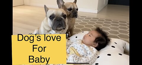 My Dogs Fall In Love With Our Baby | The Full Story