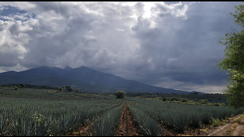 The Majestic Skies: A Cloudscape Journey"