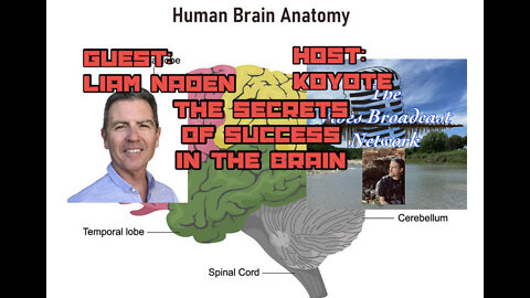 Unlocking The Secrets Of Success Are In Your Brain With Liam Naden