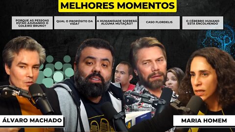 MELHORES MOMENTOS MARIA HOMEM E ÁLVARO MACHADO - Flow Podcast