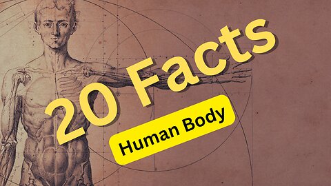 Facts About Human Body