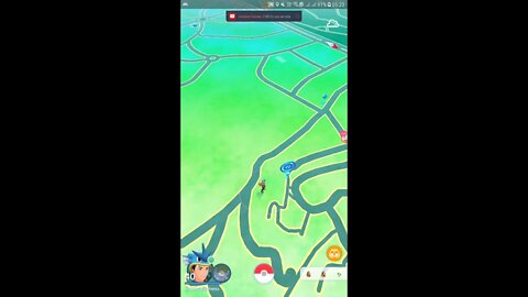 Live Pokémon GO -