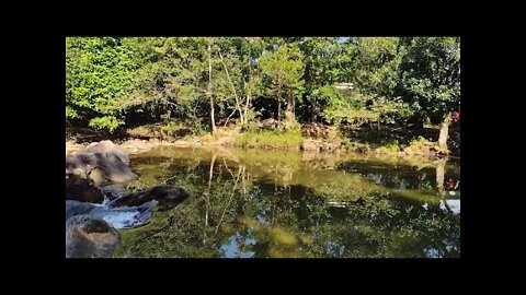 COMO É A CACHOEIRA DO PEREQUÊ FORA DE TEMPORADA NO GUARAÚ EM PERUÍBE-SP