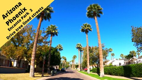 Arizona Phoenix Encanto Park area, Drive down tree lined streets 1